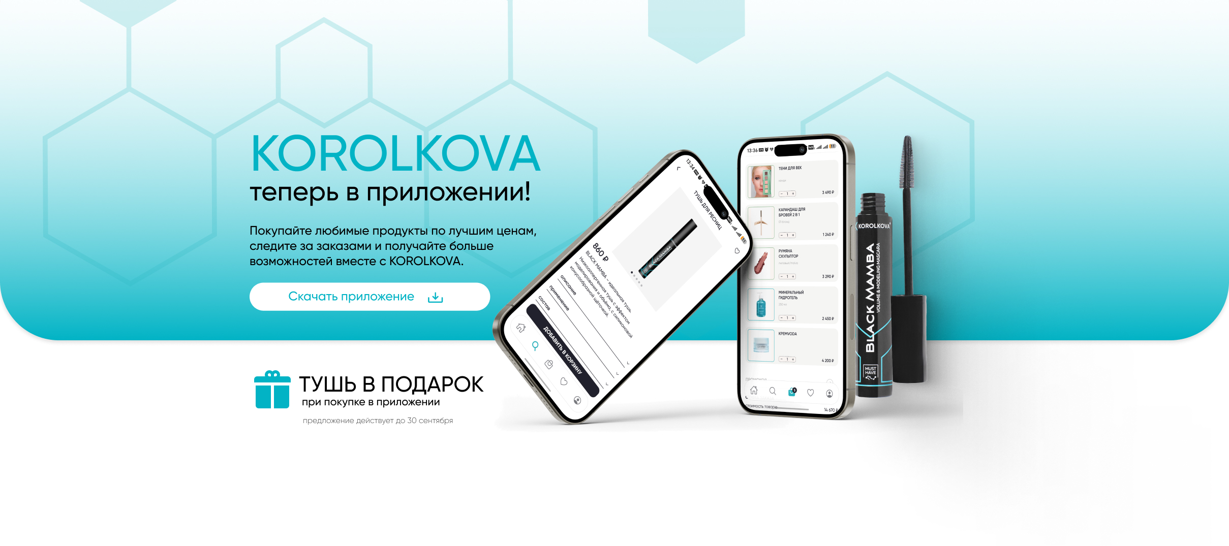 баннер_сайт_десктоп_ПРИЛОЖЕНИЕТУШЬ