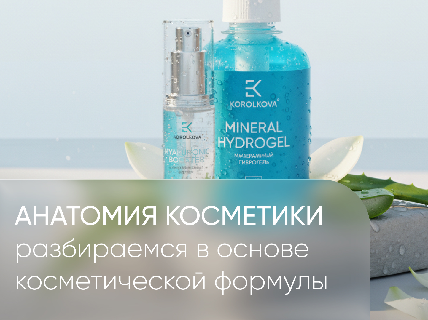 обложка сайт анатомия