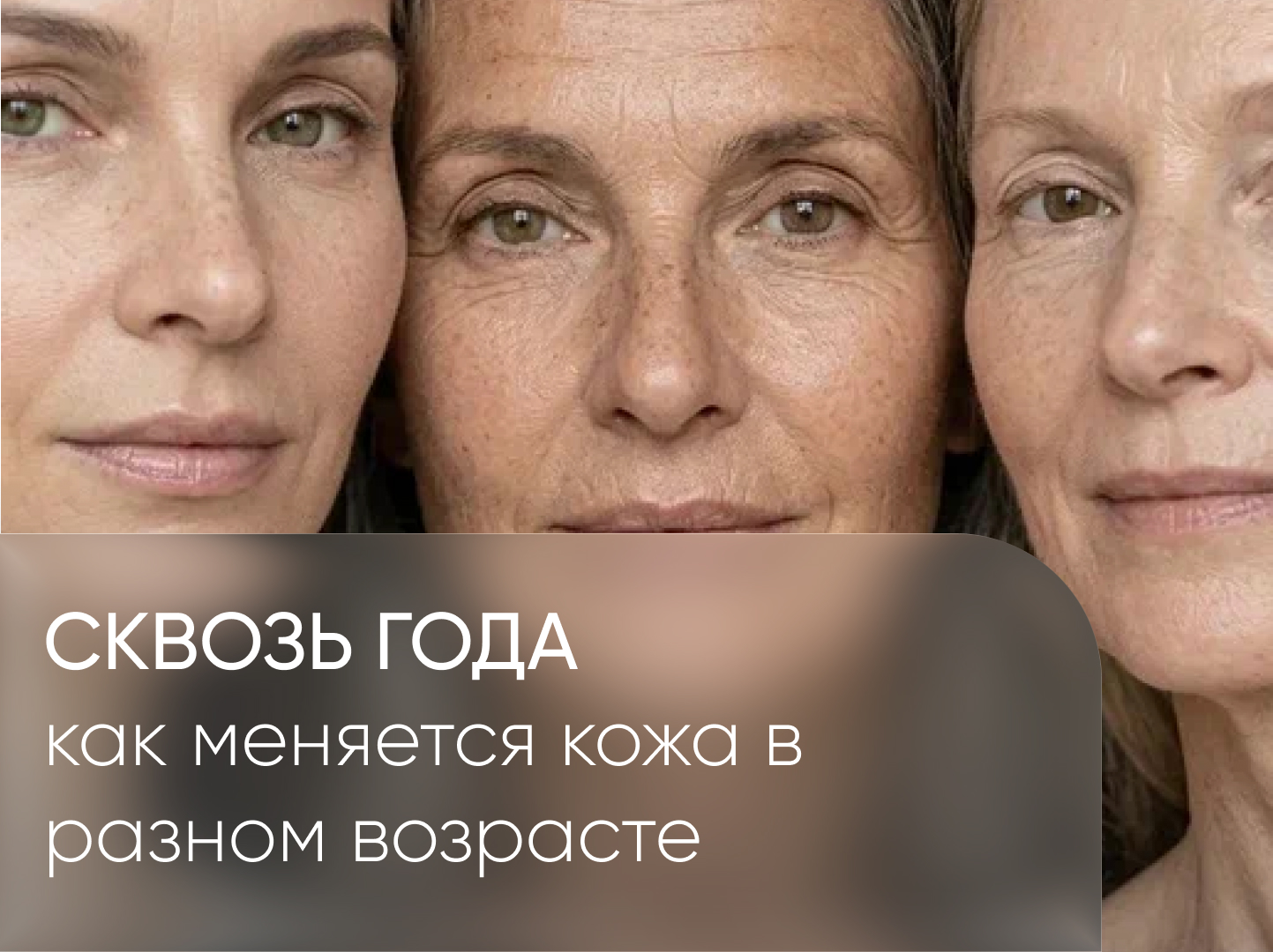 сквозь года обложка